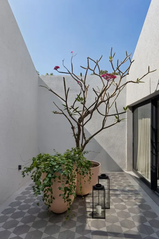Mango Orchard House — image 17