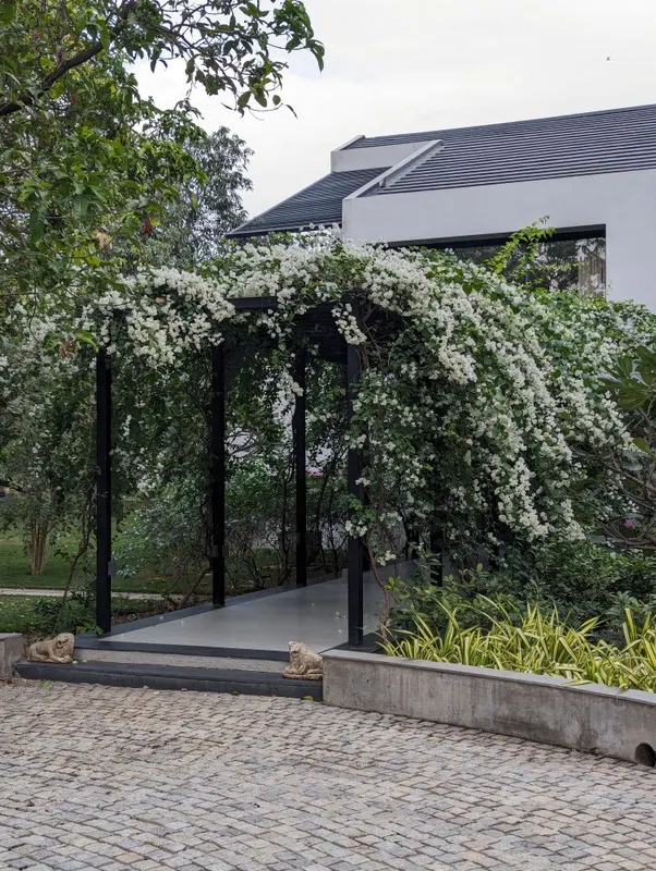 Mango Orchard House — image 5
