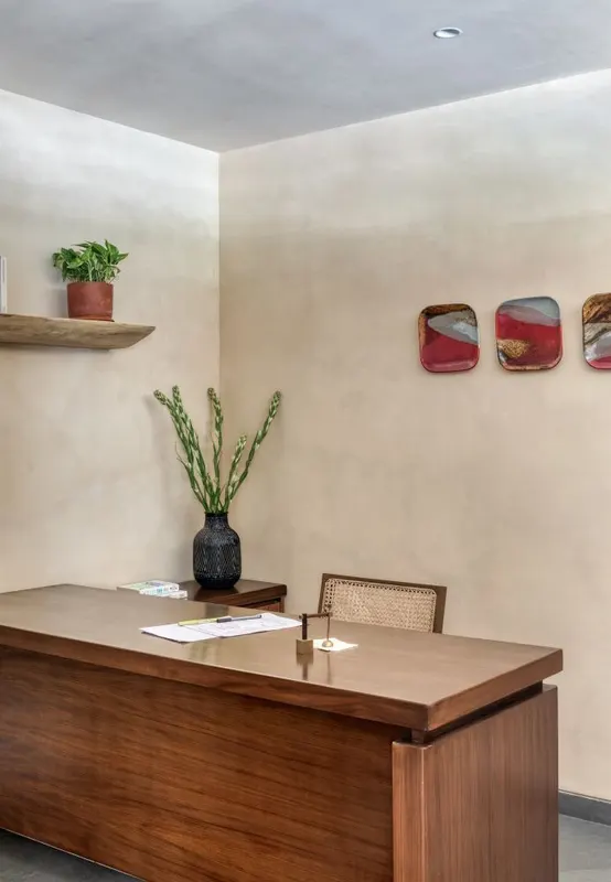 Alkove-Design Studio — image 12