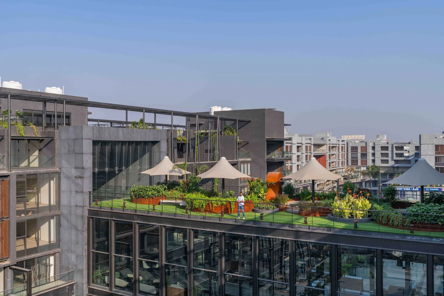 Z Square — image 4