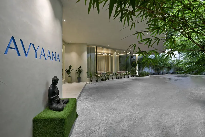 Avyaana — image 2