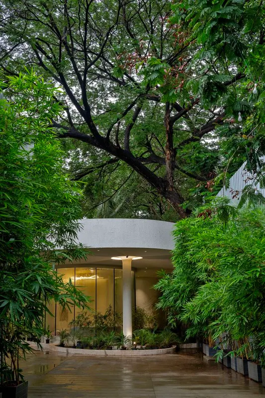 Avyaana — image 3