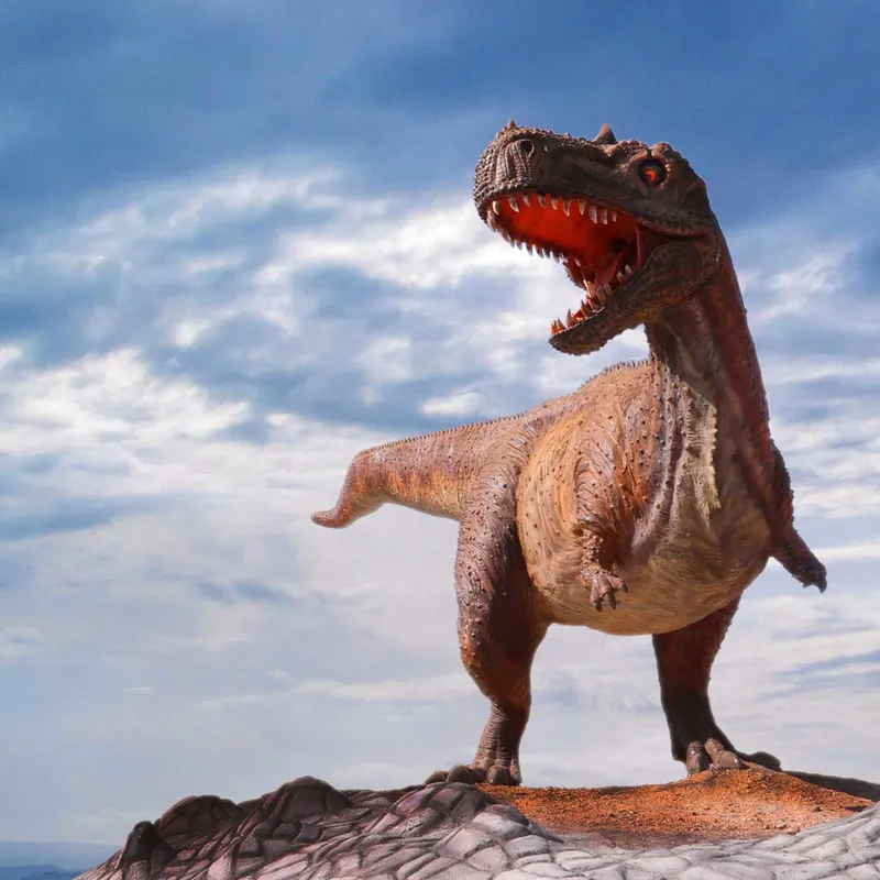 Dinosaur Museum — image 2