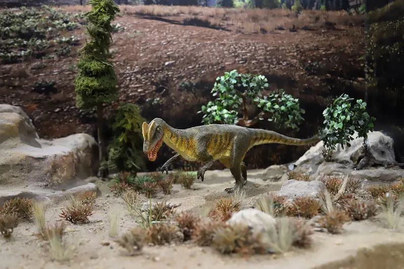 Dinosaur Museum — image 11