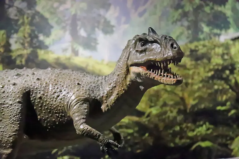 Dinosaur Museum — image 14