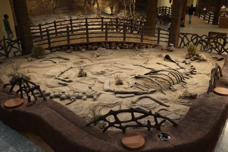 Dinosaur Museum — image 15