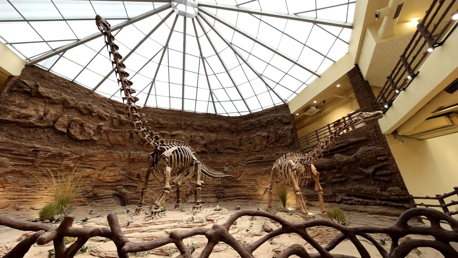 Dinosaur Museum — image 4