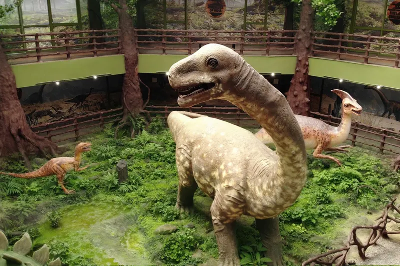 Dinosaur Museum — image 5