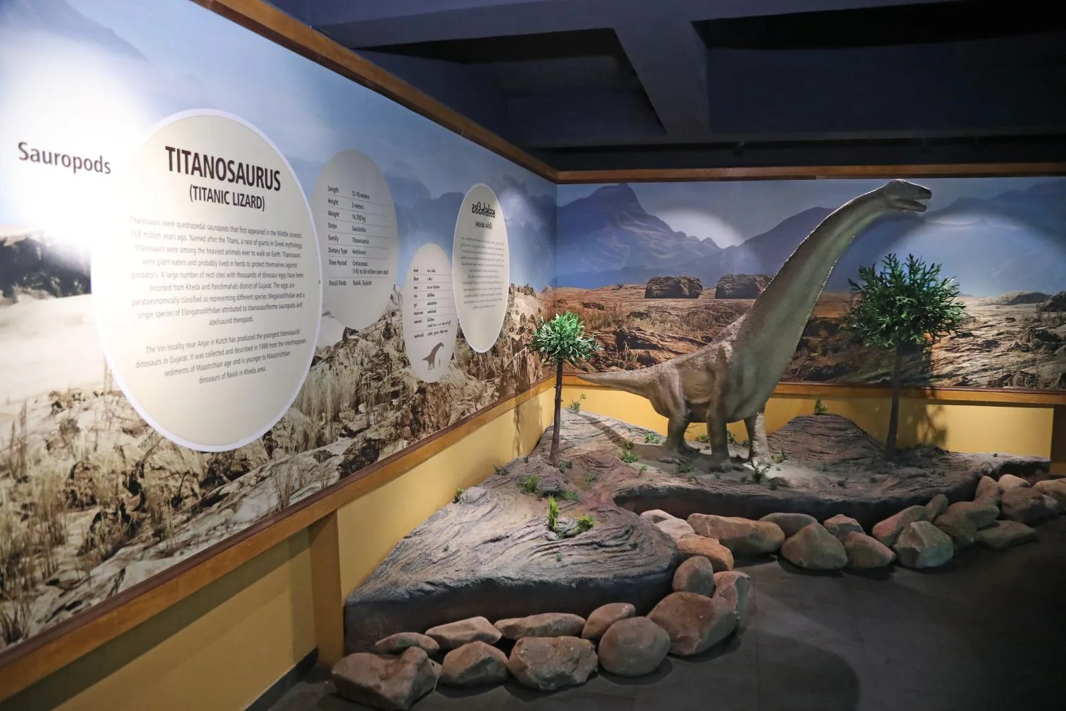 Dinosaur Museum — image 10