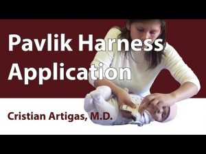 Pavlik Harness Application