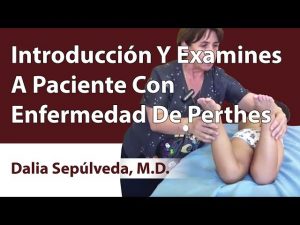 Introducción Y Examines A Paciente Con Enfermedad De Perthes