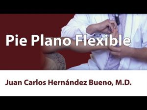 Pie Plano Flexible