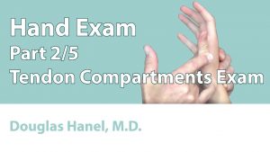 Hand Exam: Part 02 (Tendon Compartments Exam)