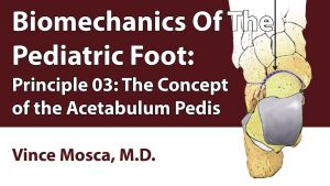 Biomechanics Of The Pediatric Foot: Principle 03 [The Concept Of The Acetabulum Pedis]