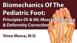 Biomechanics Of The Pediatric Foot: Principle 05 & 06 [Muscle Balancing & Deformity Correction]