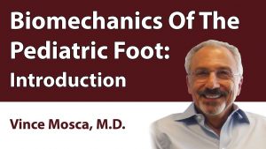 Biomechanics Of The Pediatric Foot: Introduction