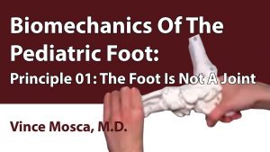 Biomechanics Of The Pediatric Foot: Principle 01 [The Foot Is Not A Joint]