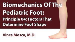 Biomechanics Of The Pediatric Foot: Principle 04 [Factors That Determine Foot Shape]