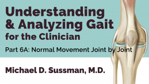 Understanding & Analyzing Gait For The Clinician: Part 06A [Normal Movement Joint By Joint]