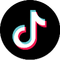 tiktok Japan Study