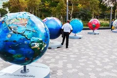 Plant-Based Products - Dairy-Free Milks, their rising popularity, and how they stack up to dairy