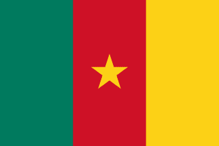 Drapeau Samuel Eto'o