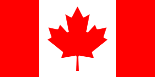 Drapeau Ours Polaire ‍️