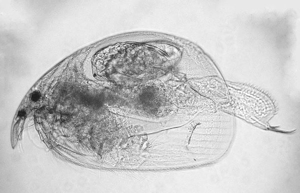 FishMe ToolBox_Alona (RT)