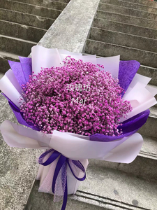  紫色滿天星花束#AF1873  