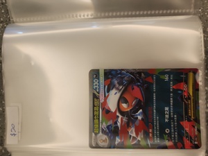  寶可夢卡牌 EX 系列 3 pokemon card 