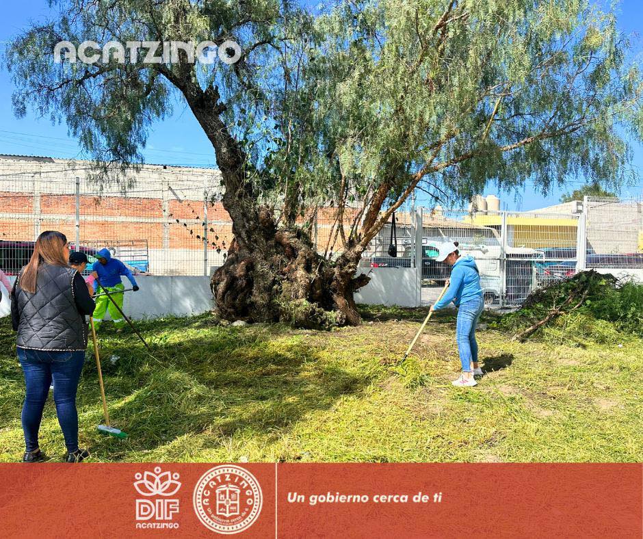 Noticias del Ayuntamiento