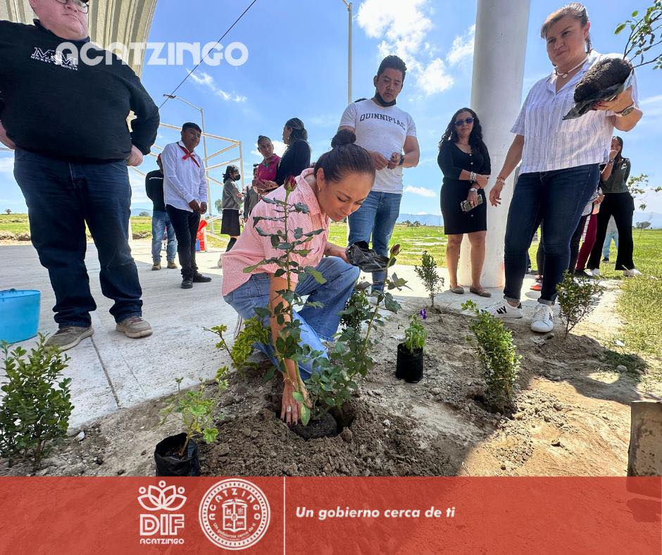 Noticias del Ayuntamiento