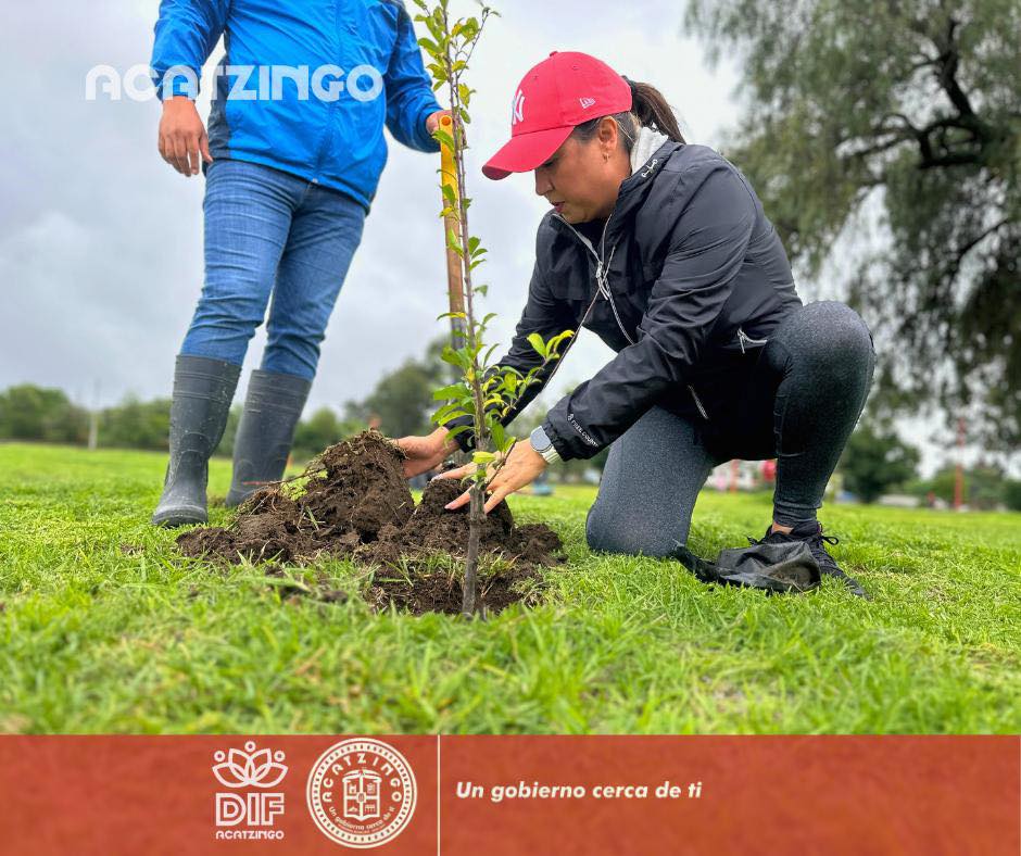 Noticias del Ayuntamiento