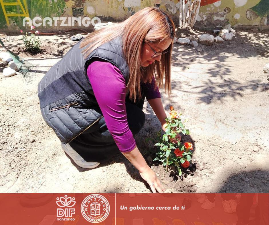 Imagen Noticias del Ayuntamiento
