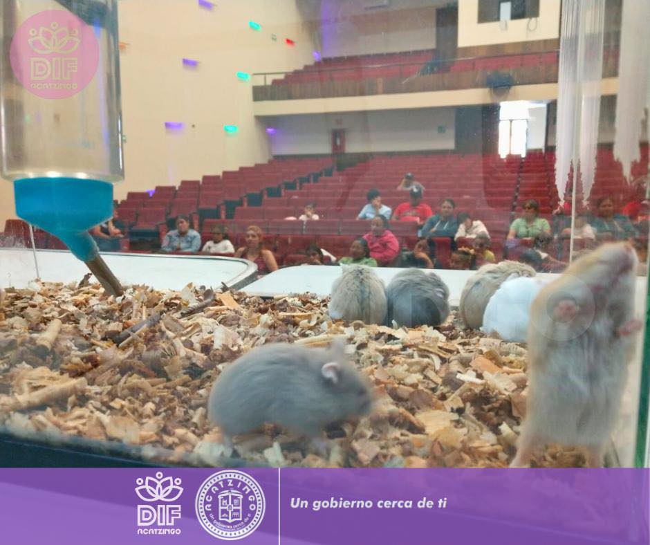 Noticias del Ayuntamiento