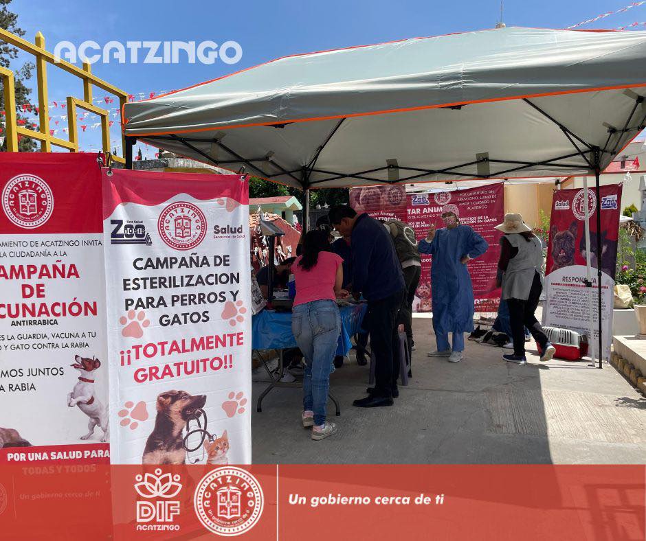 Noticias del Ayuntamiento