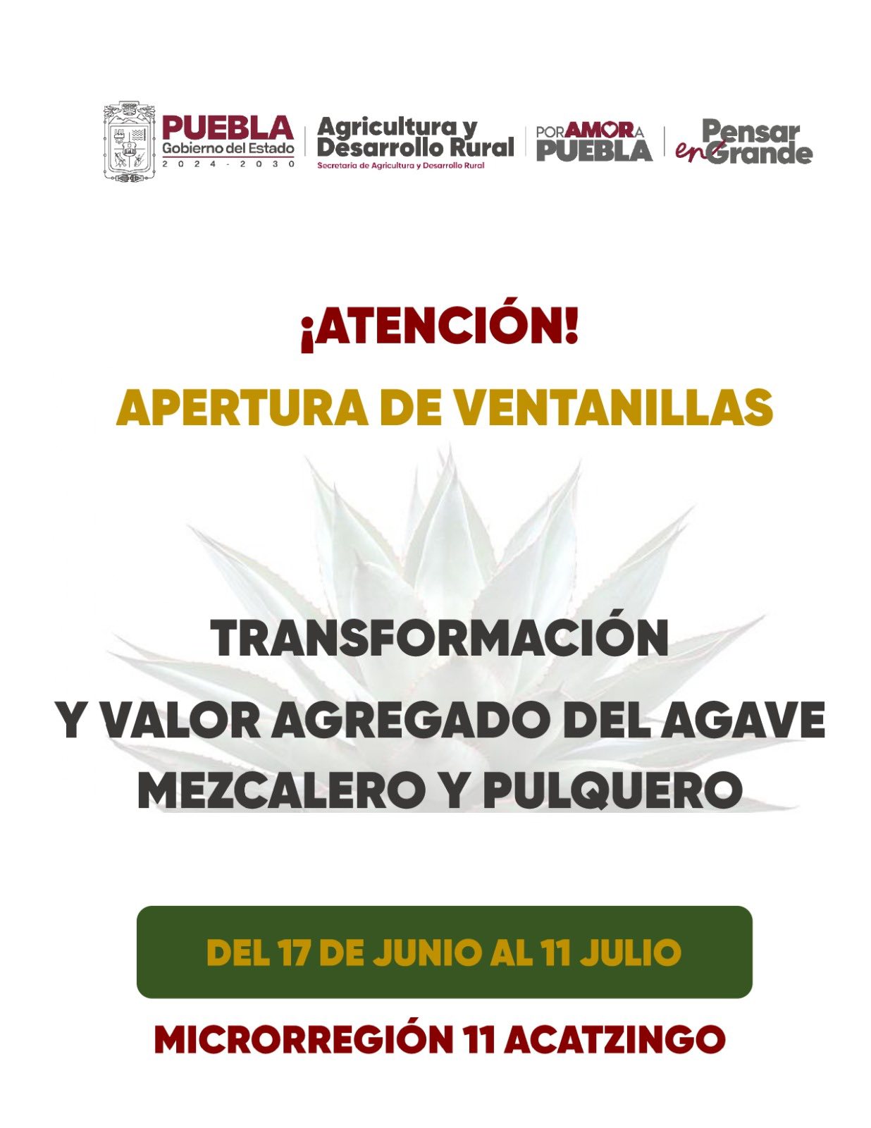 Noticias del Ayuntamiento