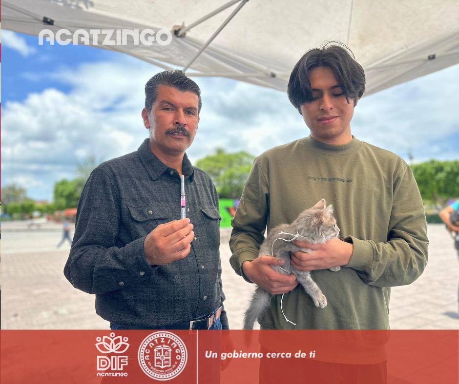 Noticias del Ayuntamiento