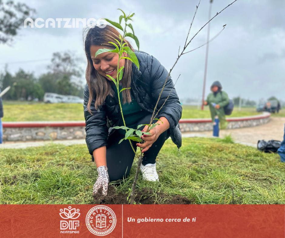 Noticias del Ayuntamiento