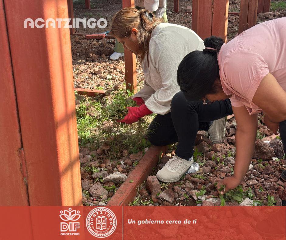 Noticias del Ayuntamiento