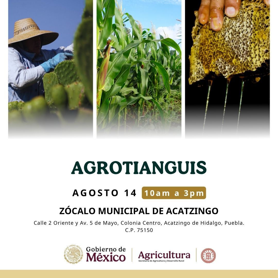 Noticias del Ayuntamiento
