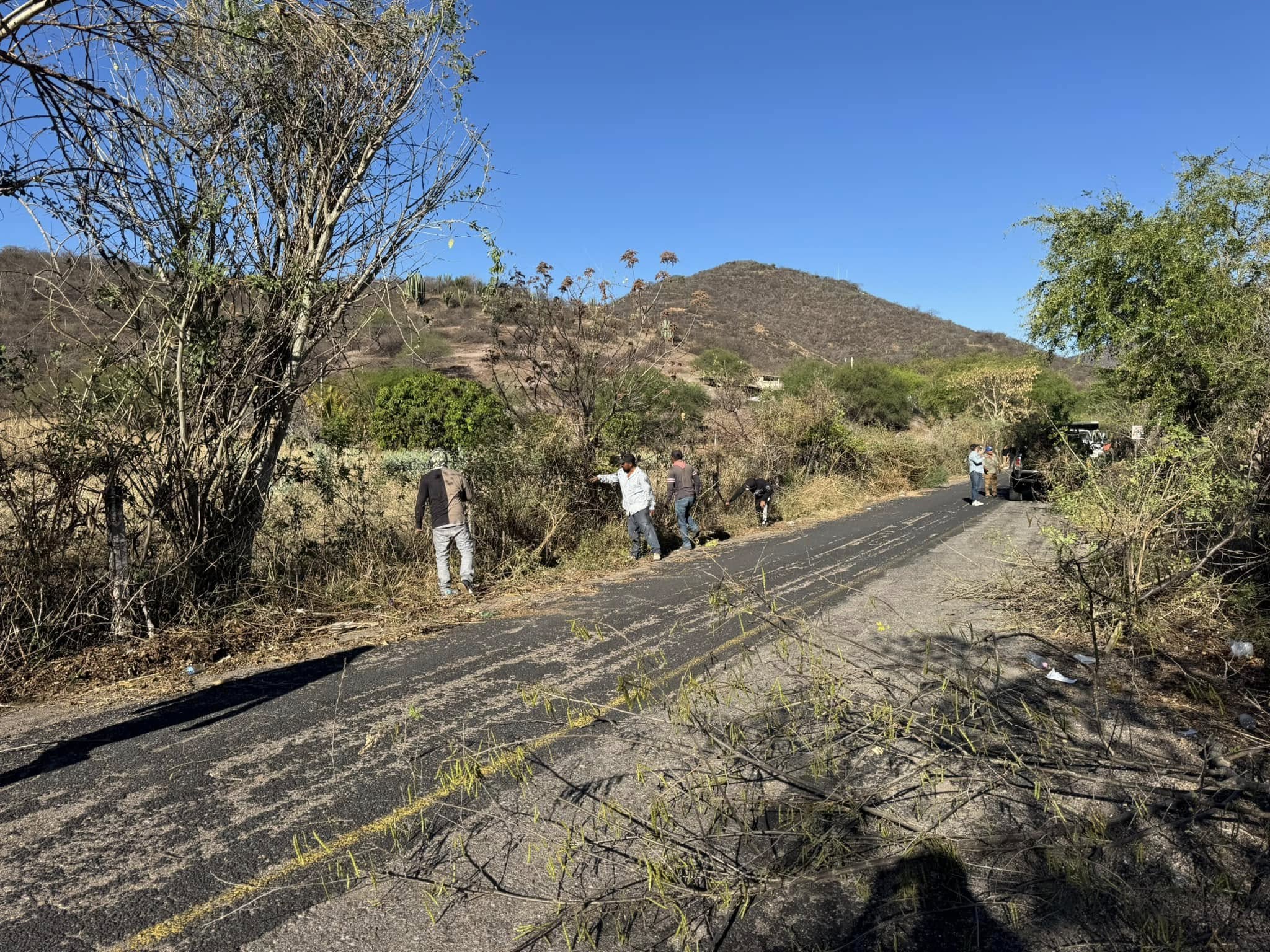 Imagen Noticias del Ayuntamiento