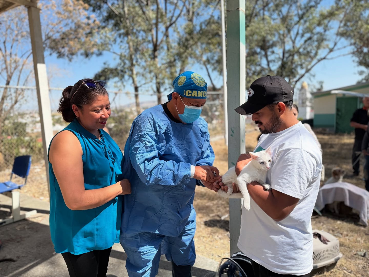 Imagen Noticias del Ayuntamiento