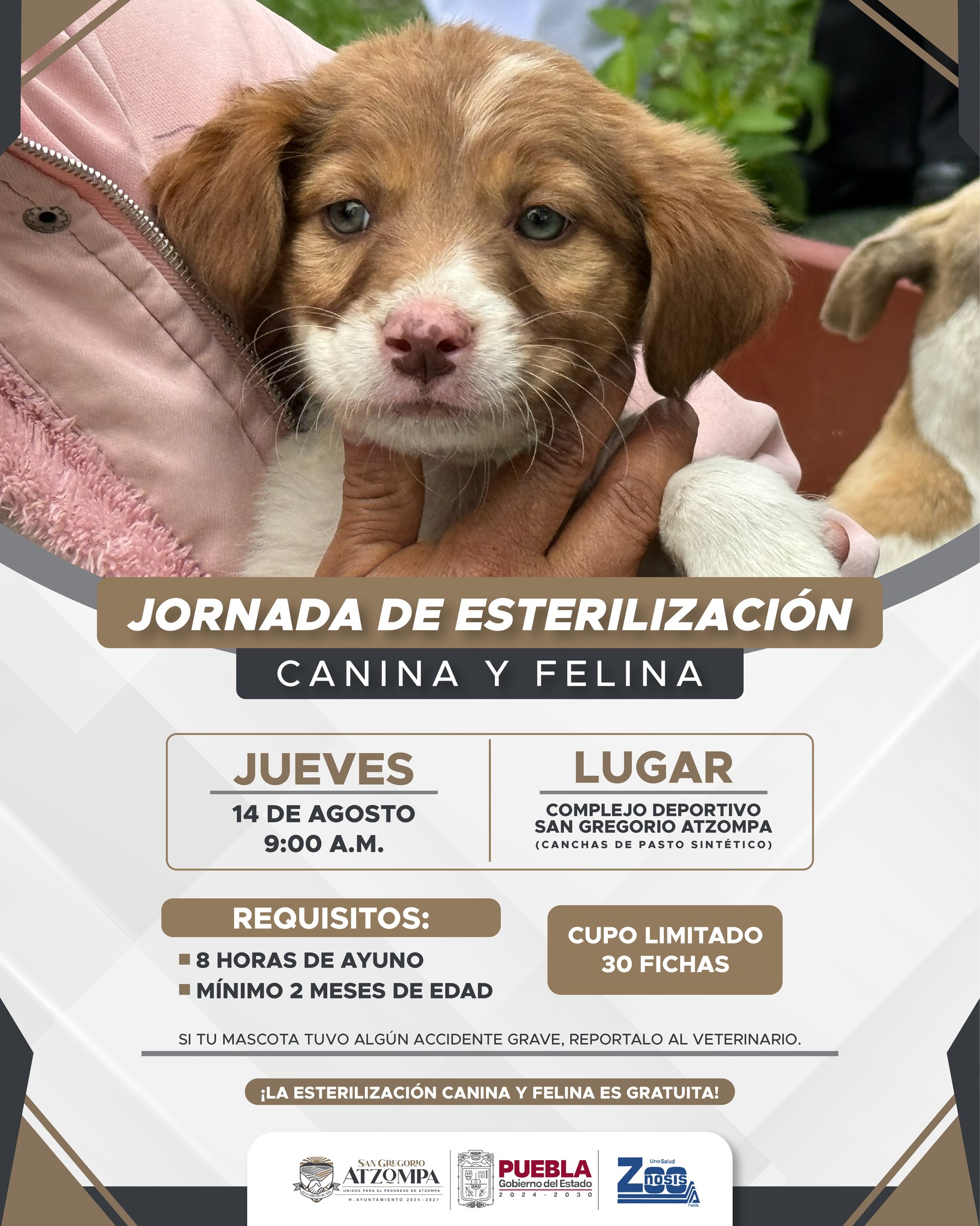 Imagen Noticias del Ayuntamiento