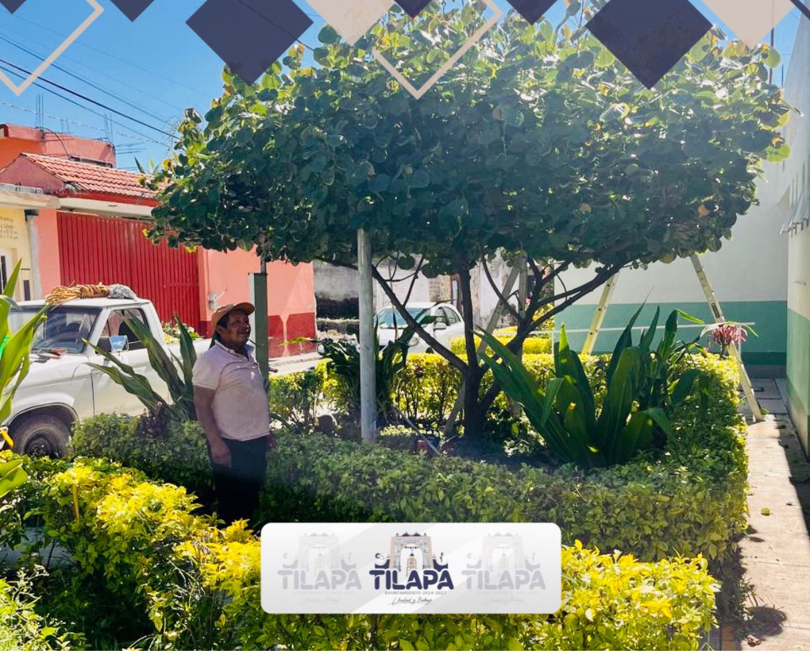 Noticias del Ayuntamiento