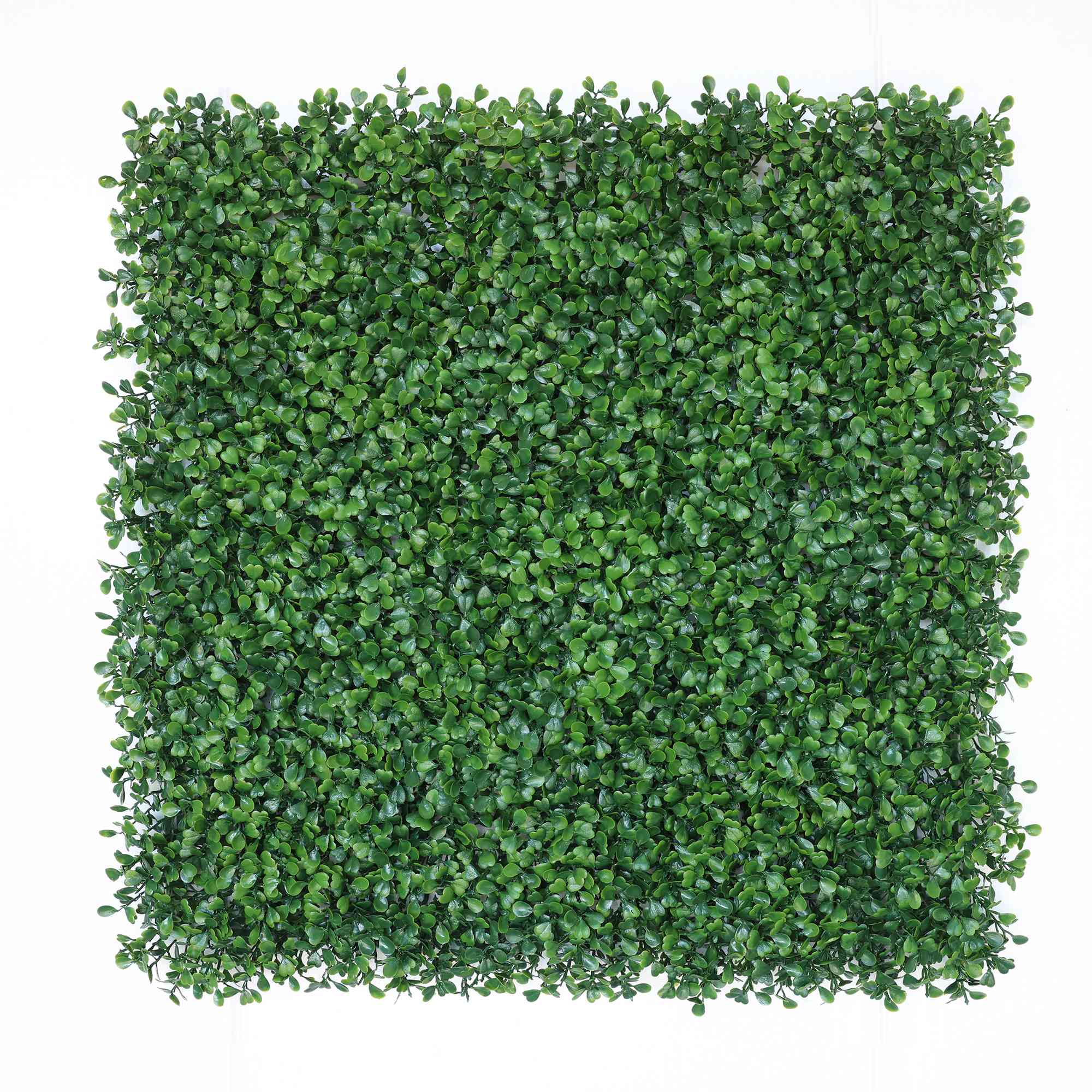 Yapay Bitki Duvar Paneli