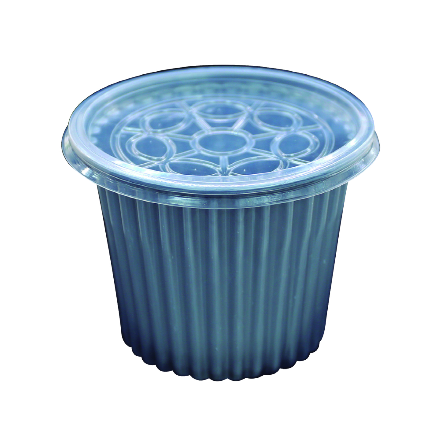 TARRINA PP 1LTR GRIS C/TAPA SET 25U