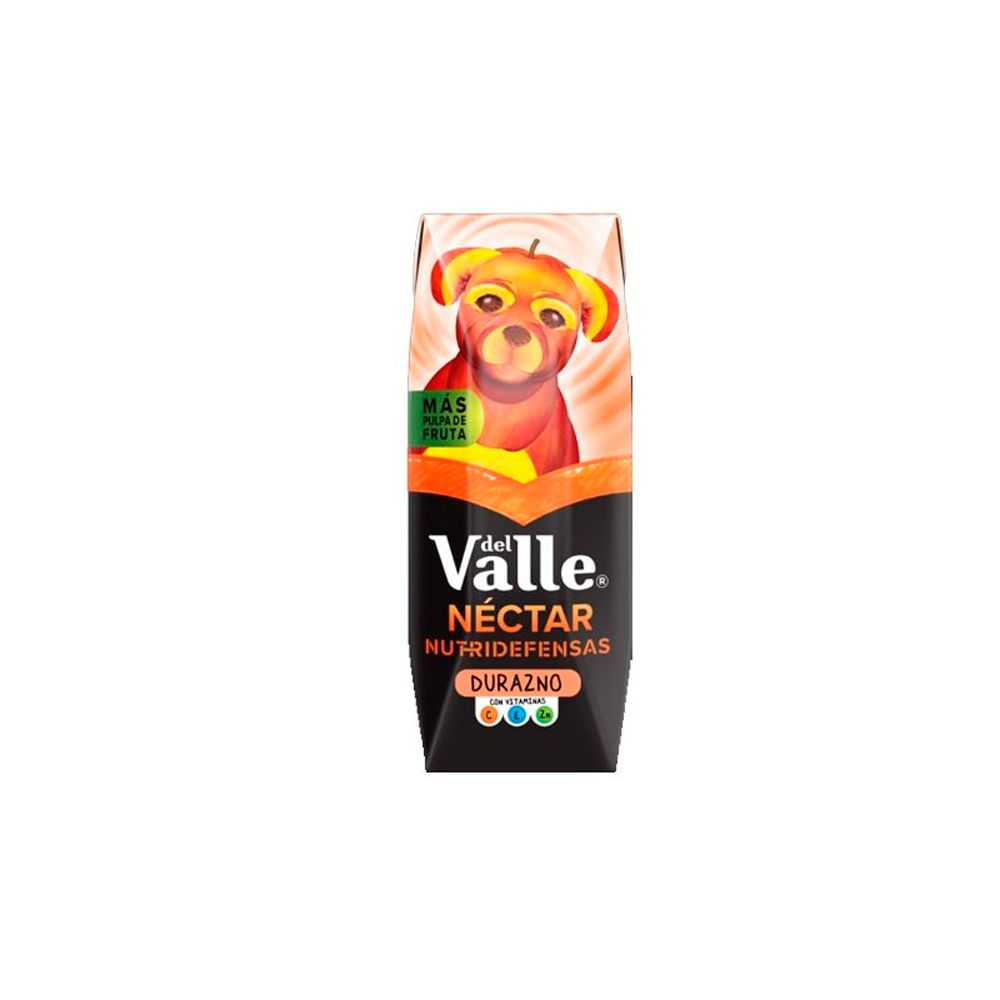NECTAR DEL VALLE DURAZNO 250ML