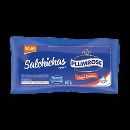 SALCHICHA LINEA DIARIA 100 GR