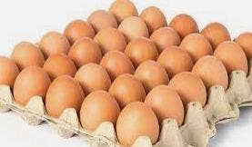 HUEVOS ECONOMICOS SIERRAFERTIL X30